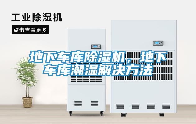 地下车库猫咪成人官网，地下车库潮湿解决方法