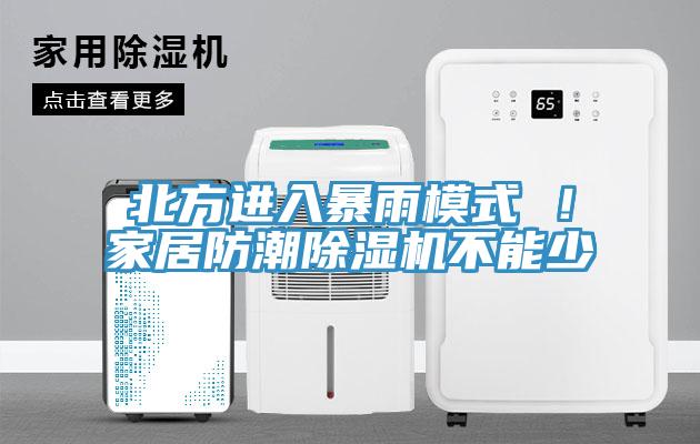 北方进入暴雨模式 ！家居防潮猫咪成人官网不能少