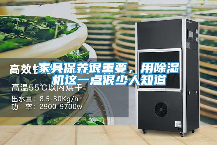 家具保养很重要，用猫咪成人官网这一点很少人知道