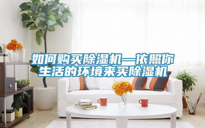 如何购买猫咪成人官网—依照你生活的环境来买猫咪成人官网