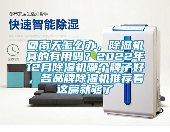 回南天怎么办，猫咪成人官网真的有用吗？2022年12月猫咪成人官网哪个牌子好，各品牌猫咪成人官网推荐看这篇就够了