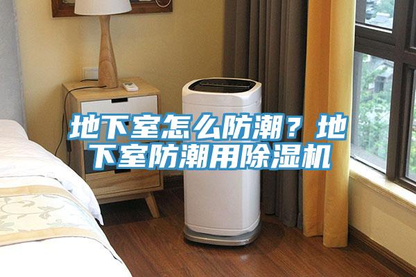 地下室怎么防潮？地下室防潮用猫咪成人官网