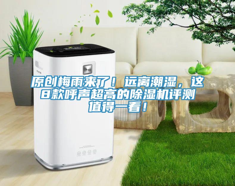 原创梅雨来了！远离潮湿，这8款呼声超高的猫咪成人官网评测值得一看！