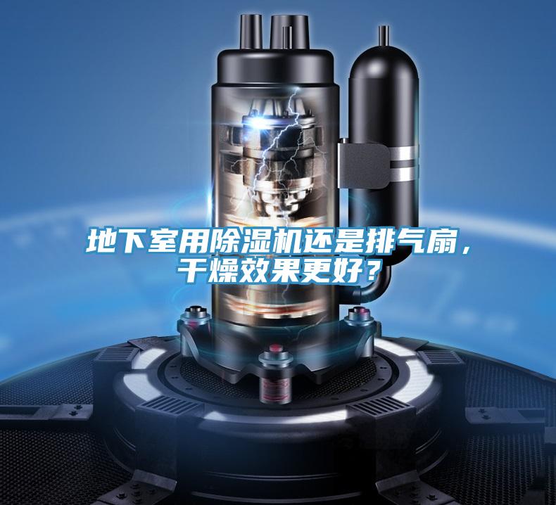 地下室用猫咪成人官网还是排气扇，干燥效果更好？