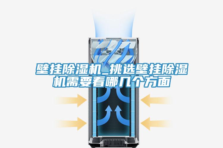 壁挂猫咪成人官网_挑选壁挂猫咪成人官网需要看哪几个方面