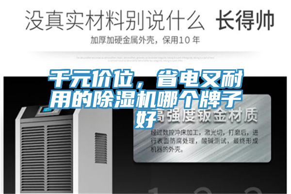 千元价位，省电又耐用的猫咪成人官网哪个牌子好