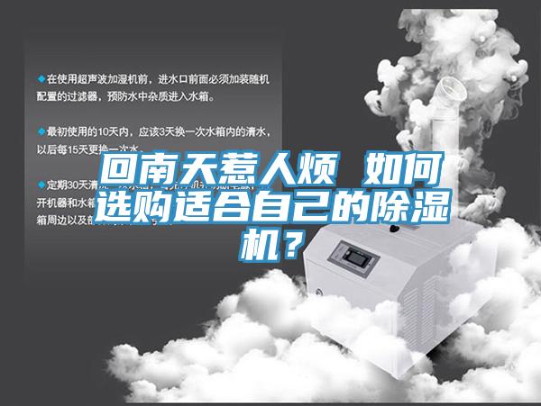 回南天惹人烦 如何选购适合自己的猫咪成人官网？