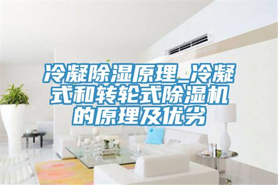 冷凝除湿原理_冷凝式和转轮式猫咪成人官网的原理及优劣