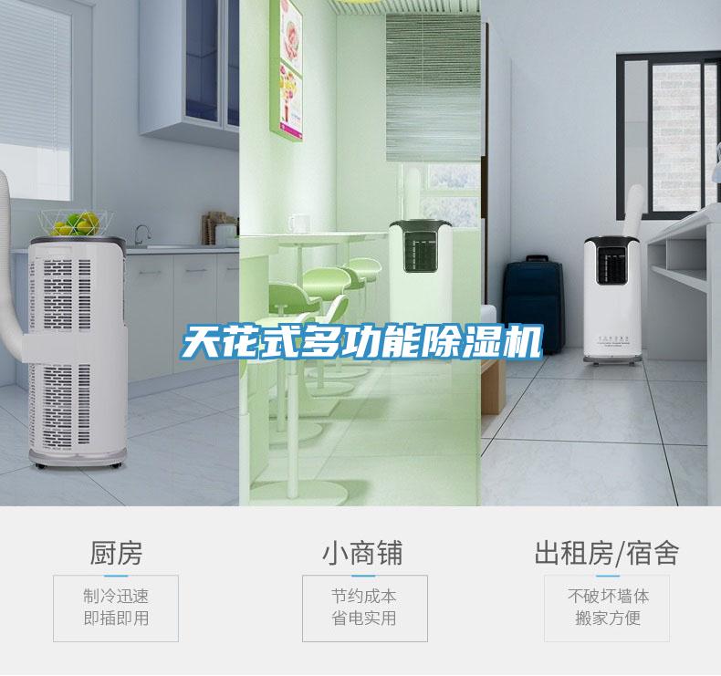 天花式多功能猫咪成人官网