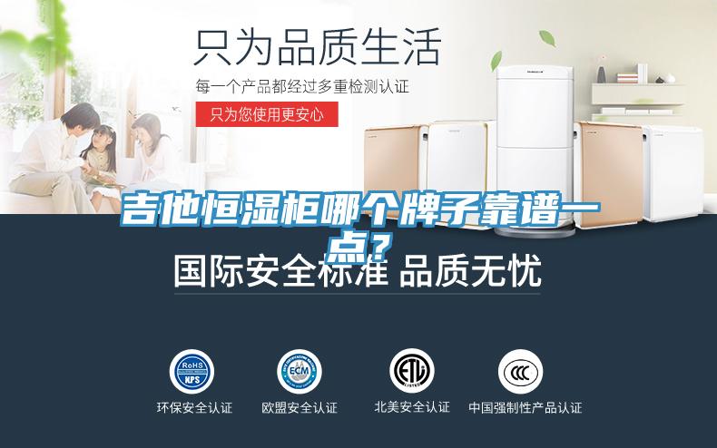 吉他恒湿柜哪个牌子靠谱一点？