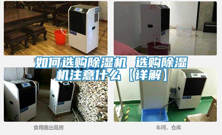 如何选购猫咪成人官网 选购猫咪成人官网注意什么【详解】