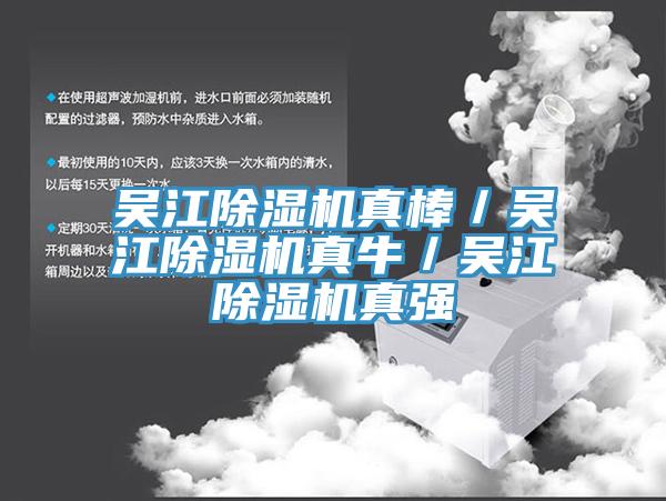 吴江猫咪成人官网真棒／吴江猫咪成人官网真牛／吴江猫咪成人官网真强