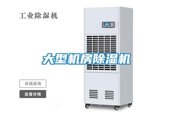 大型机房猫咪成人官网