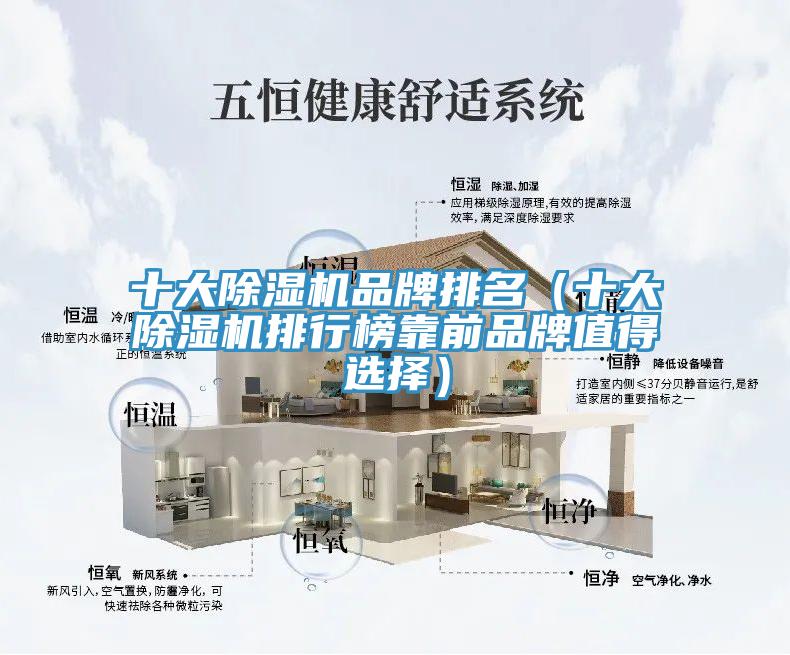 十大猫咪成人官网品牌排名（十大猫咪成人官网排行榜靠前品牌值得选择）