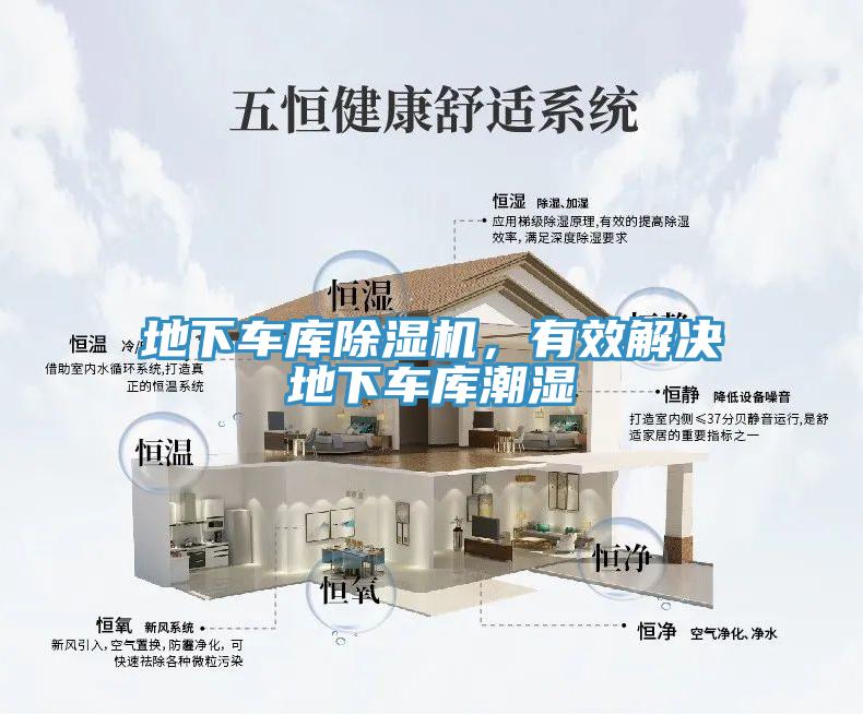地下车库猫咪成人官网，有效解决地下车库潮湿