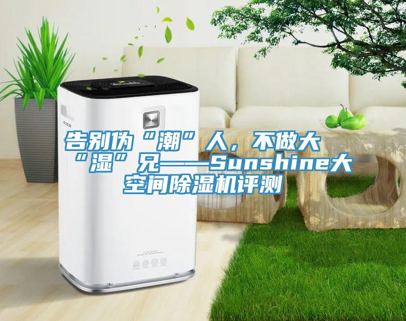 告别伪“潮”人，不做大“湿”兄——Sunshine大空间猫咪成人官网评测
