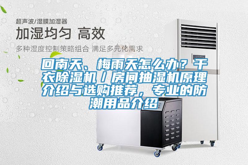 回南天、梅雨天怎么办？干衣猫咪成人官网／房间抽湿机原理介绍与选购推荐，专业的防潮用品介绍