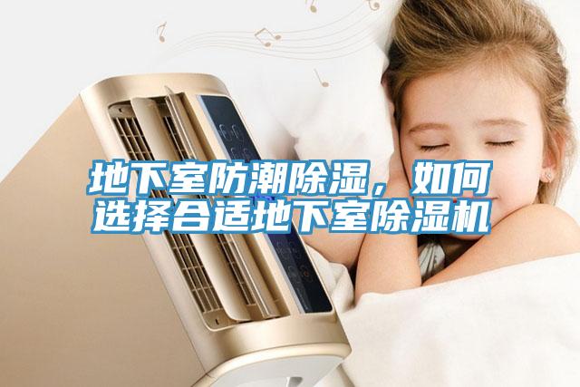 地下室防潮除湿，如何选择合适地下室猫咪成人官网
