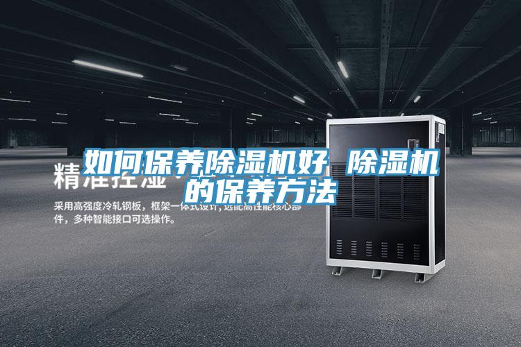 如何保养猫咪成人官网好 猫咪成人官网的保养方法