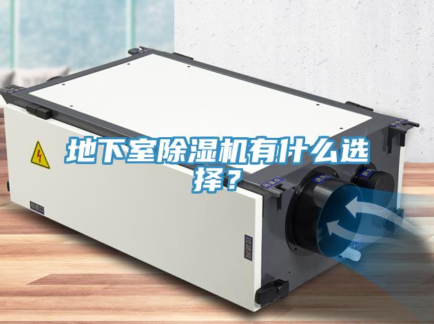 地下室猫咪成人官网有什么选择？