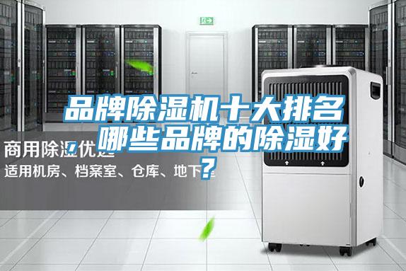 品牌猫咪成人官网十大排名，哪些品牌的除湿好？