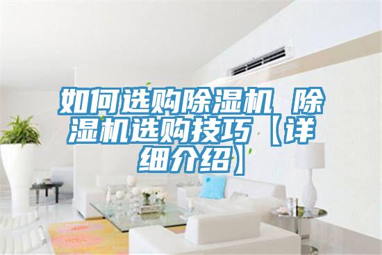 如何选购猫咪成人官网 猫咪成人官网选购技巧【详细介绍】