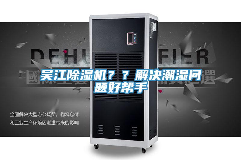吴江猫咪成人官网？？解决潮湿问题好帮手