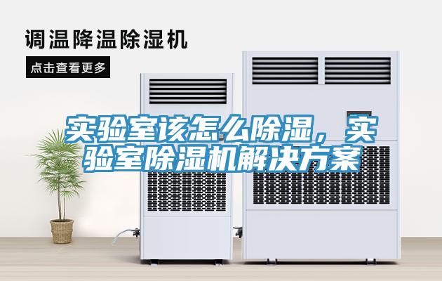 实验室该怎么除湿，实验室猫咪成人官网解决方案