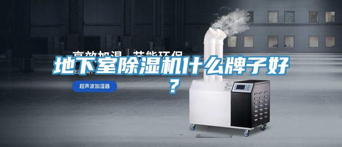 地下室猫咪成人官网什么牌子好？