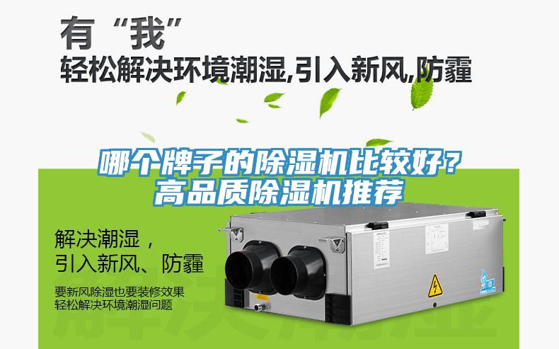 哪个牌子的猫咪成人官网比较好？高品质猫咪成人官网推荐