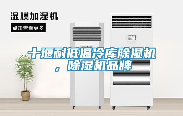 十堰耐低温冷库猫咪成人官网，猫咪成人官网品牌