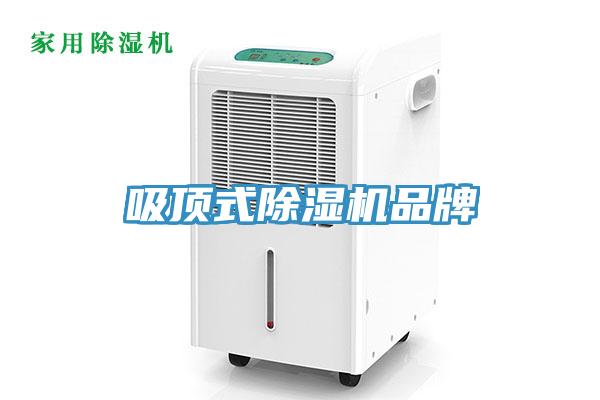 吸顶式猫咪成人官网品牌