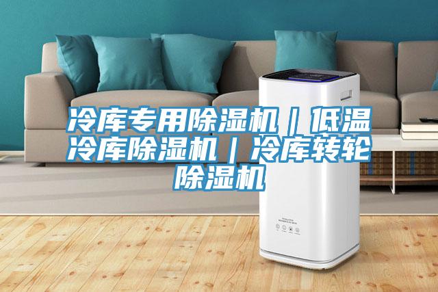 冷库专用猫咪成人官网｜低温冷库猫咪成人官网｜冷库转轮猫咪成人官网