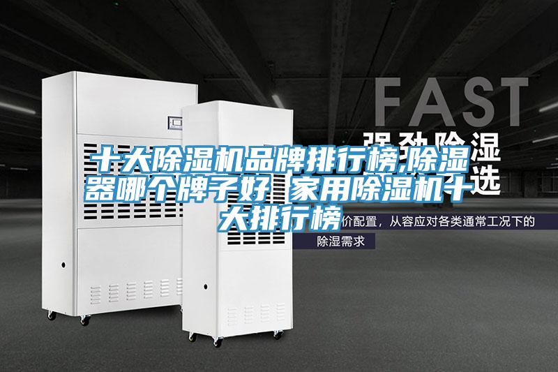 十大猫咪成人官网品牌排行榜,除湿器哪个牌子好 家用猫咪成人官网十大排行榜