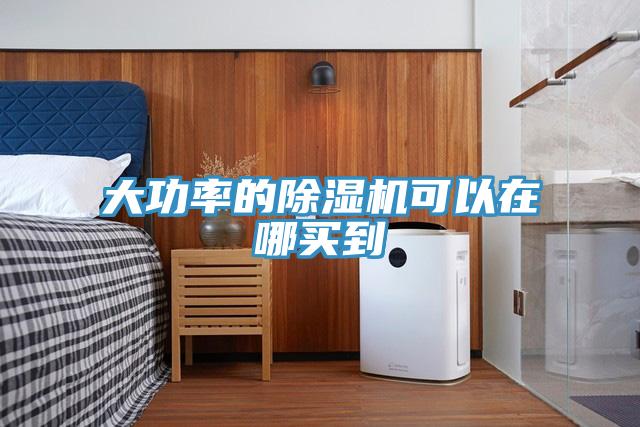 大功率的猫咪成人官网可以在哪买到
