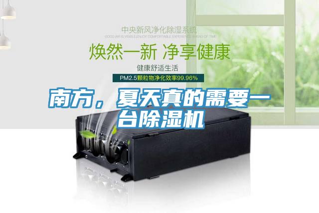 南方，夏天真的需要一台猫咪成人官网