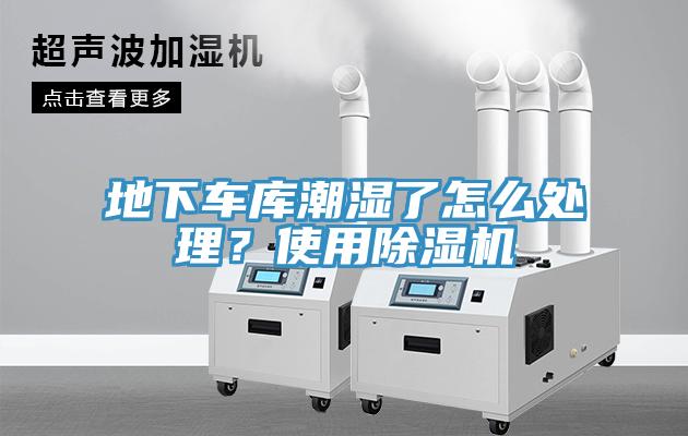 地下车库潮湿了怎么处理？使用猫咪成人官网