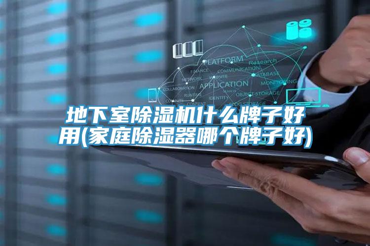 地下室猫咪成人官网什么牌子好用(家庭除湿器哪个牌子好)
