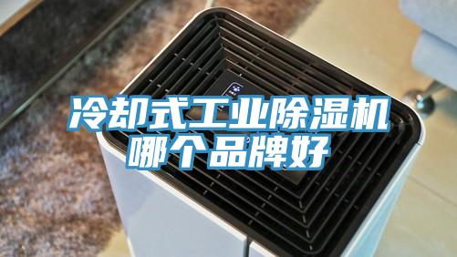 冷却式工业猫咪成人官网哪个品牌好