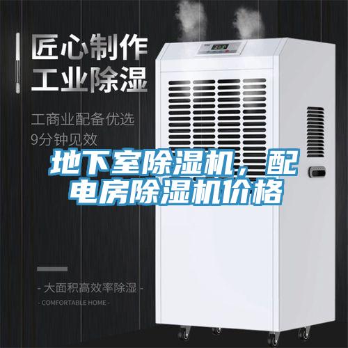 地下室猫咪成人官网，配电房猫咪成人官网价格