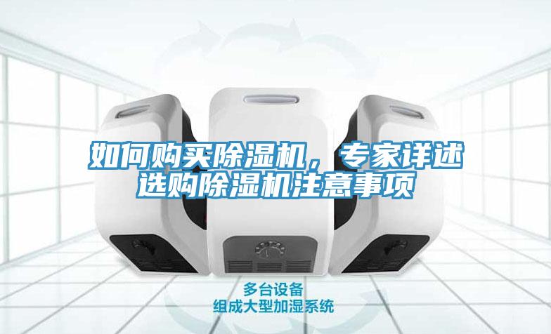如何购买猫咪成人官网，专家详述选购猫咪成人官网注意事项