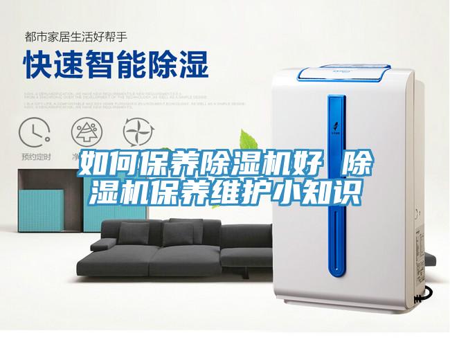 如何保养猫咪成人官网好 猫咪成人官网保养维护小知识