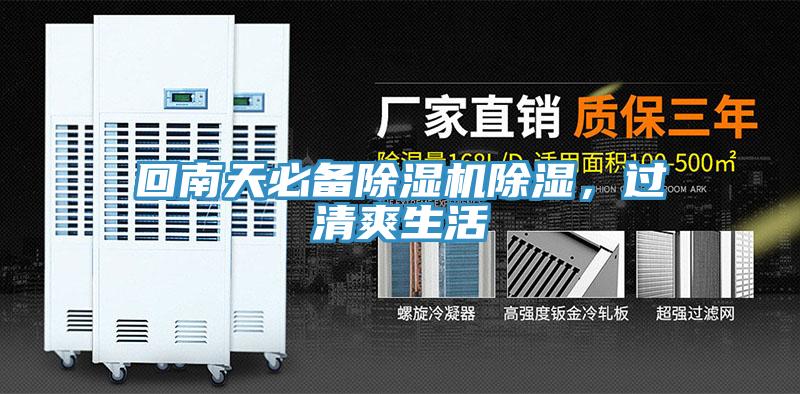 回南天必备猫咪成人官网除湿，过清爽生活