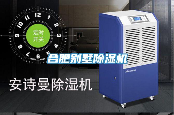 合肥别墅猫咪成人官网