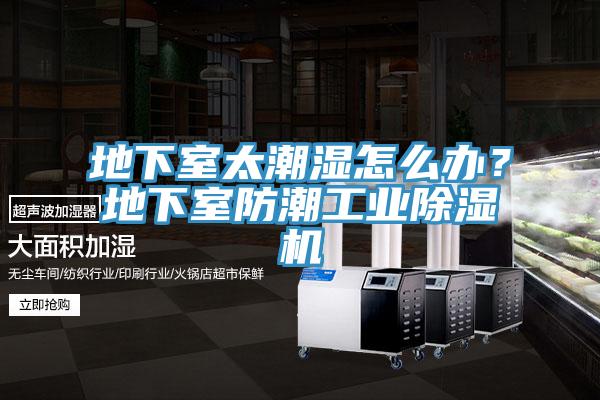 地下室太潮湿怎么办？地下室防潮工业猫咪成人官网
