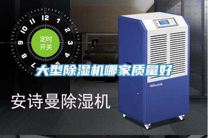 大型猫咪成人官网哪家质量好