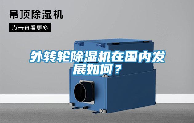 外转轮猫咪成人官网在国内发展如何？