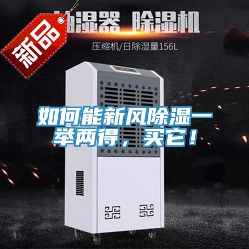 如何能新风除湿一举两得，买它！