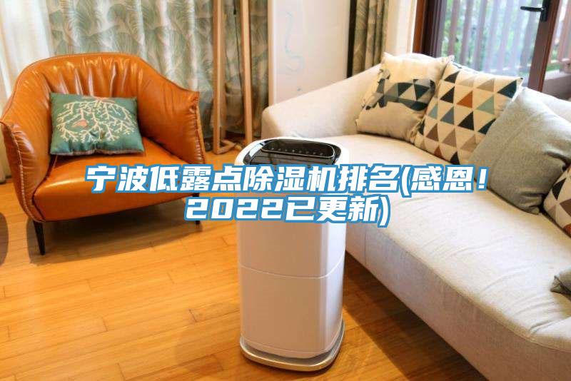 宁波低露点猫咪成人官网排名(感恩！2022已更新)