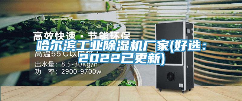 哈尔滨工业猫咪成人官网厂家(好选：2022已更新)